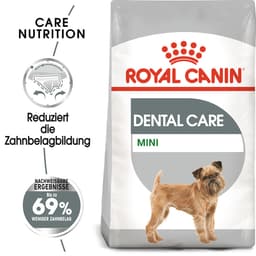Dental Care Mini