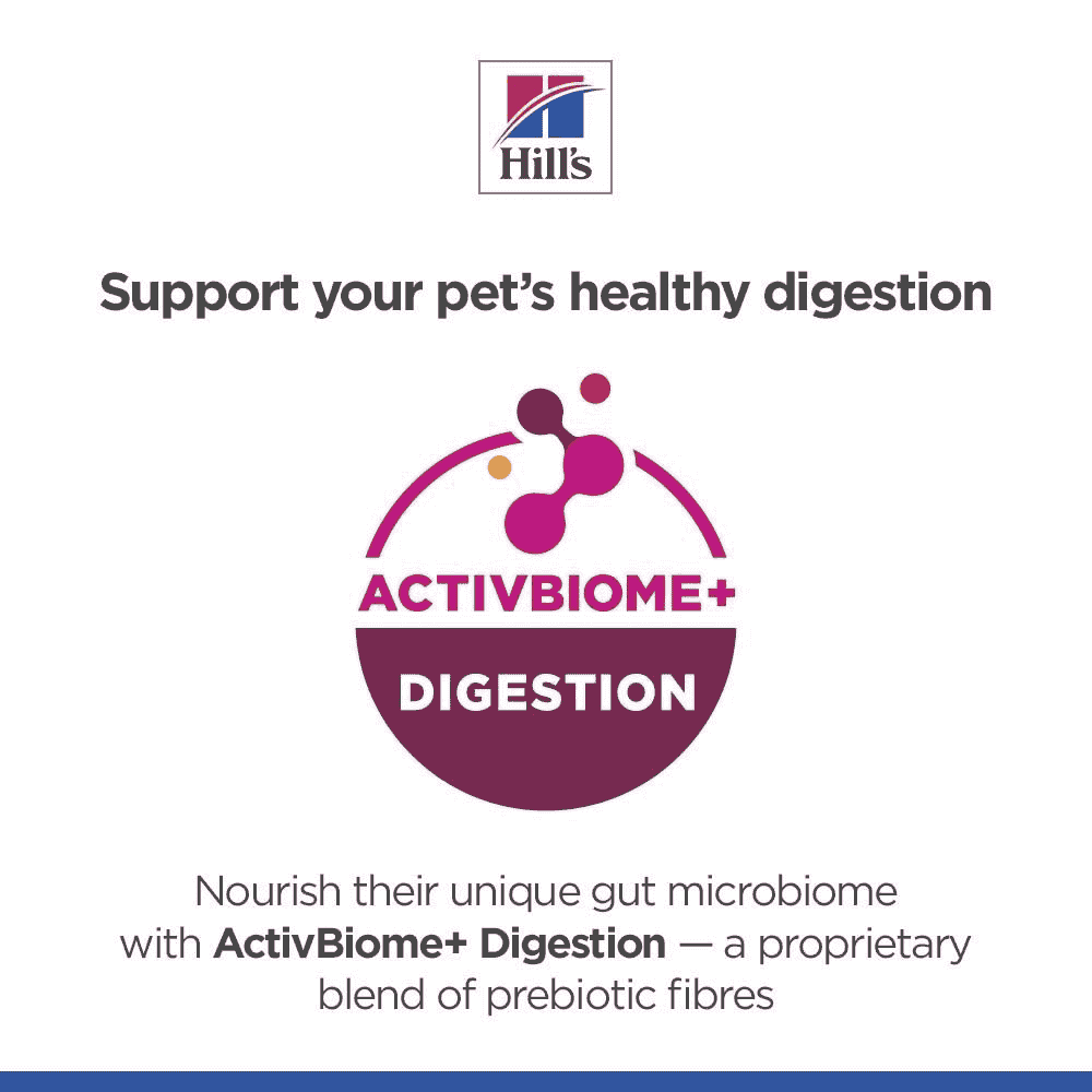 Canine Perfect Digestion - Can