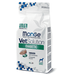 Diabetic Dog