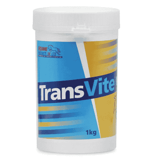 TransVite Gut Balancer