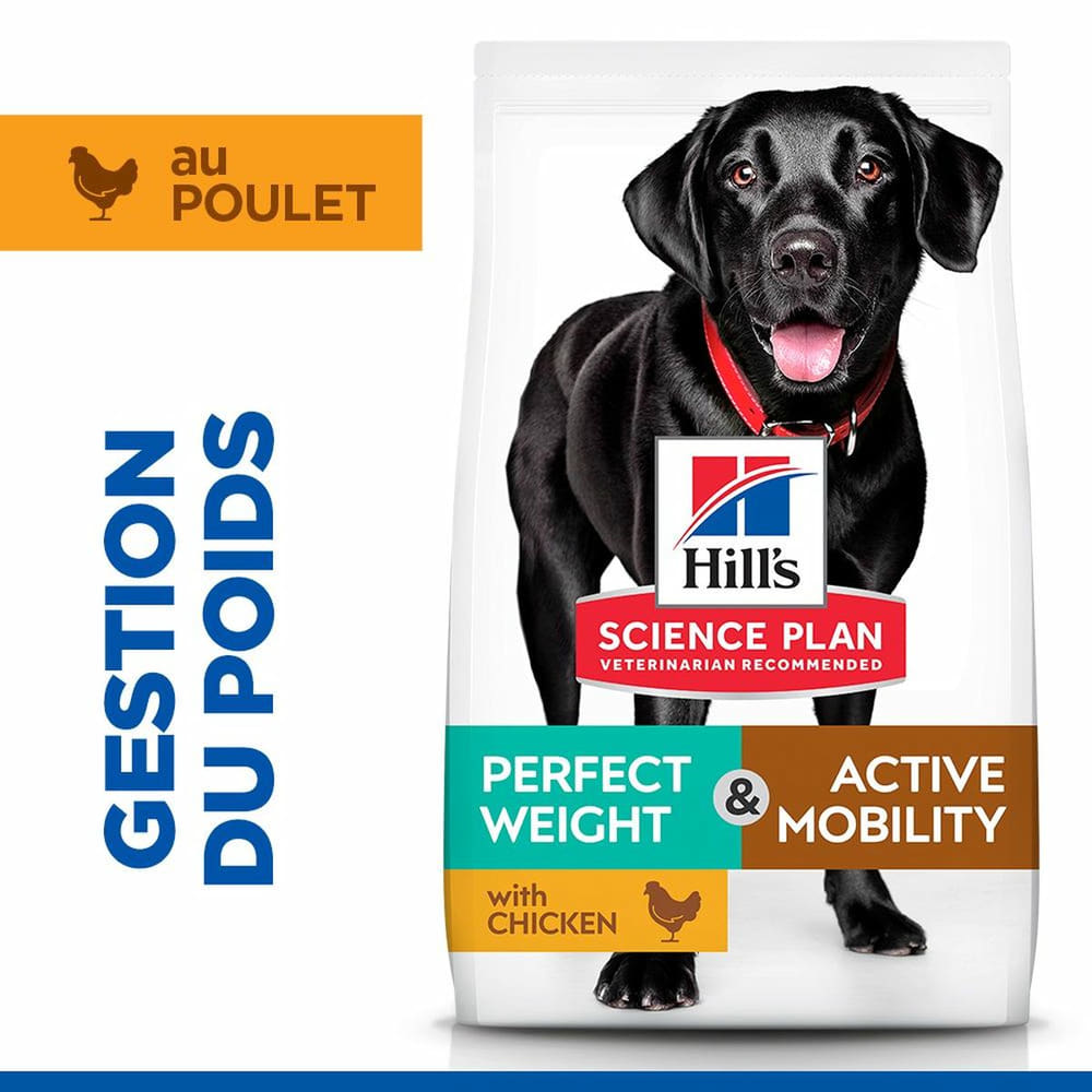 Canine Perfect Weight + Active Mobility Large Breed
