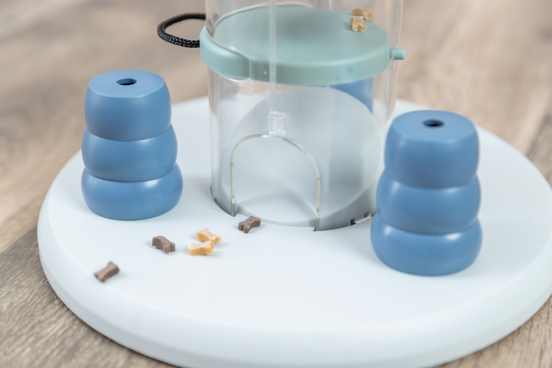 Dog Activity Gambling Tower