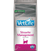 Feline Struvite Management