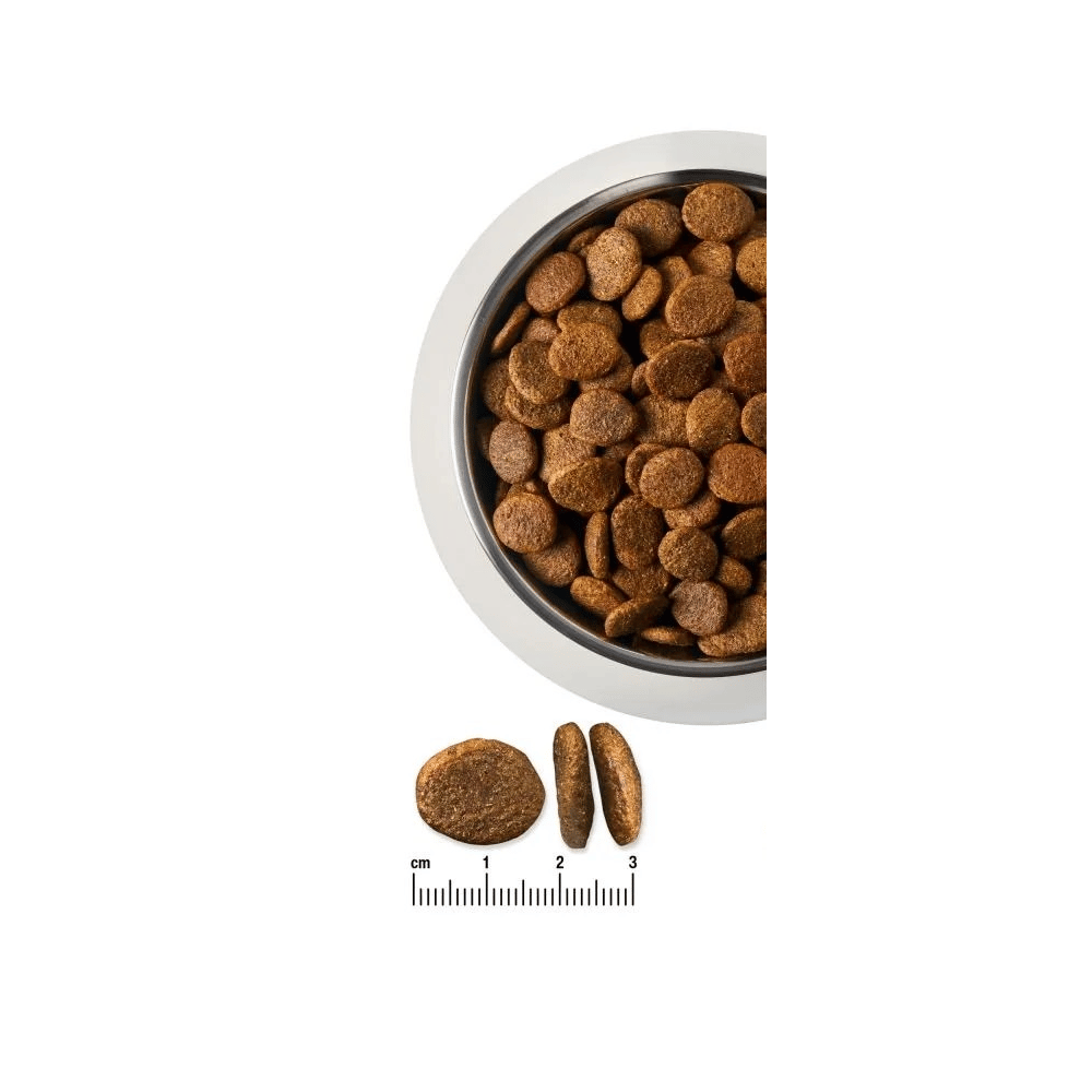 Gastro Dog Dry