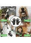 Gants de nettoyage