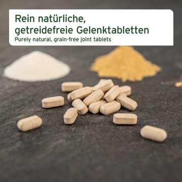 AgilityVET Tabs
