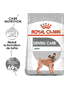 Dental Care Mini