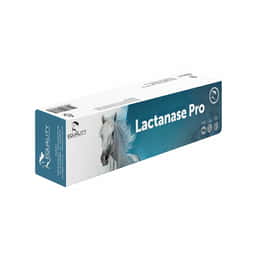 Lactanase Pro Paste