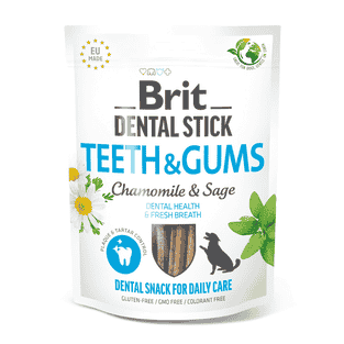 Dental Stick - Teeth & Gums - with Chamomile & Sage