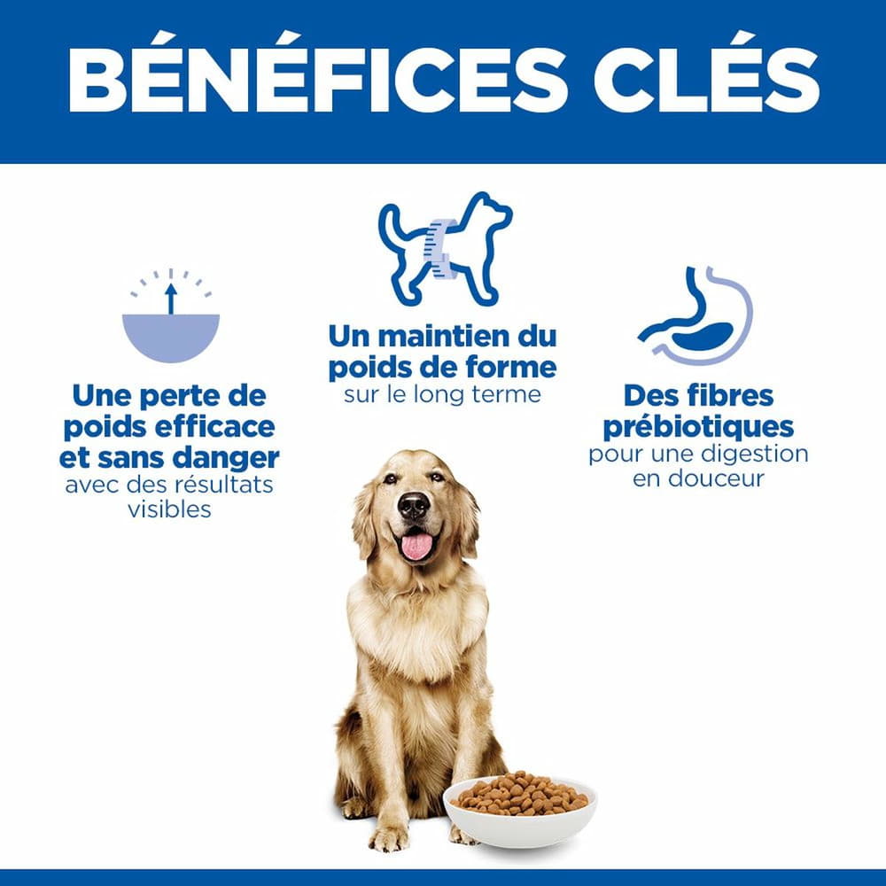 Canine Adult Perfect Weight Large Breed