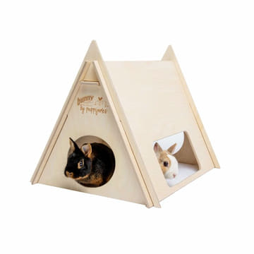 Tent bed
