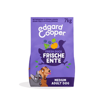 Adult Frische Ente mit Kürbis