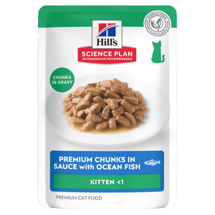Kitten Ocean Fish - Frischebeutel