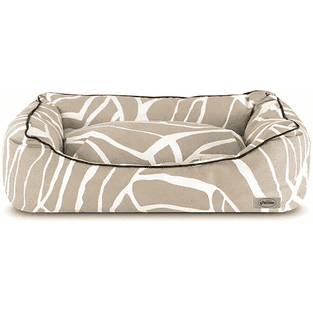 Byecteria ZEBRA