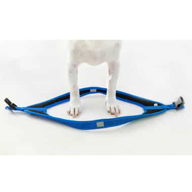 Hundegeschirr Fast-Fit blau