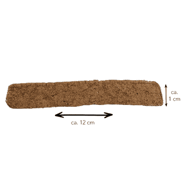 Dental Stick Cerf