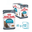 Urinary Care Jelly - Sachet