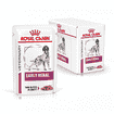 Early Renal Dog - sachet