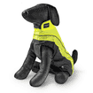 Rain coat Rainskin yellow