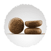 SeniorPlus