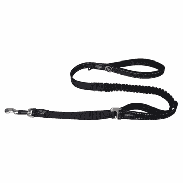 Dog leash Utility Control