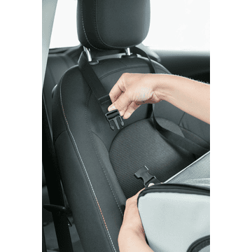 Dog car seat with net