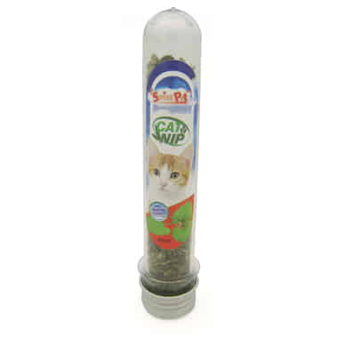 Catnip