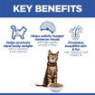Feline Light Adult Chicken