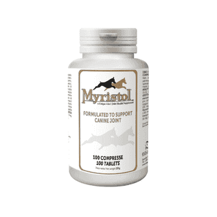Myristol Dog