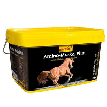 Amino Muskel Plus - Amino Muscle