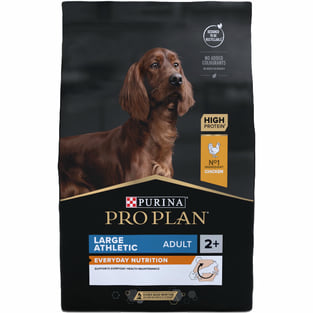 LARGE ATHLETIC ADULT Everyday Nutrition