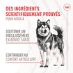 Joint & Ageing Chews Adult Supplements