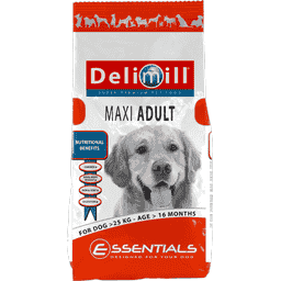 ADULT Maxi for Dog