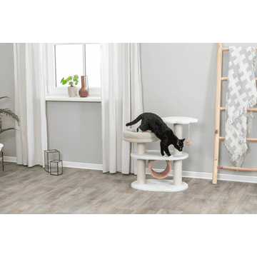 Isabella cat scratcher