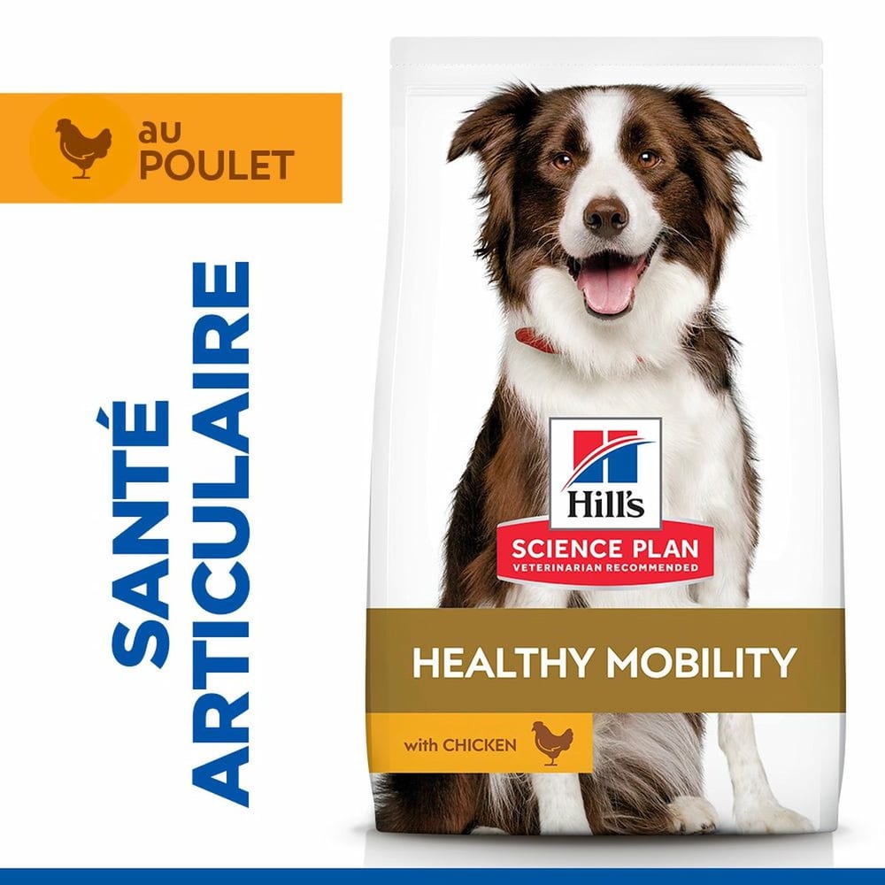 Canine Adult Healthy Mobility Medium Breed