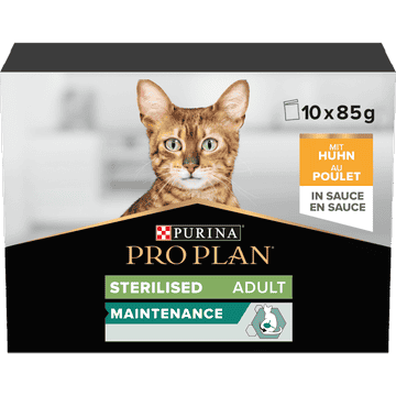 Adult Sterilized Maintenance Chicken in Sauce