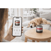 PRO Touch Anti-Stress System for DOG