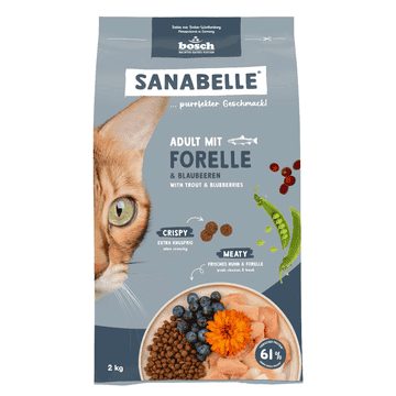 Adult Forelle