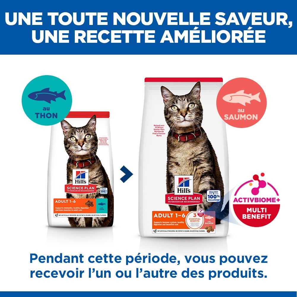 Feline Adult Tuna / Feline Adult Salmon