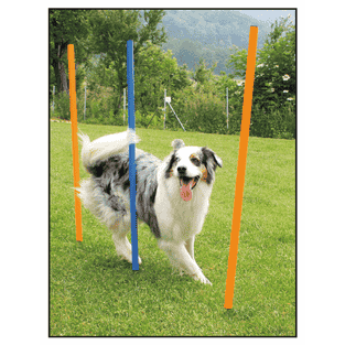 Agility Slalom-Set