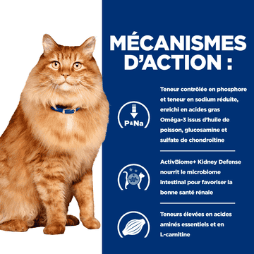 Feline k/d + j/d Kidney + Mobility