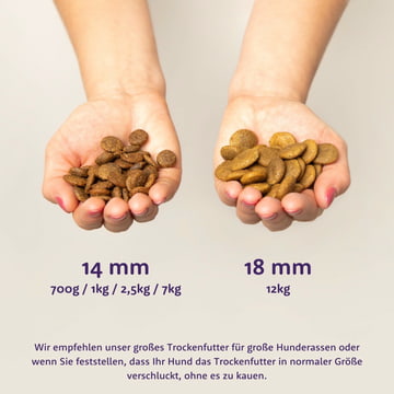 Adult Frisches Lamm