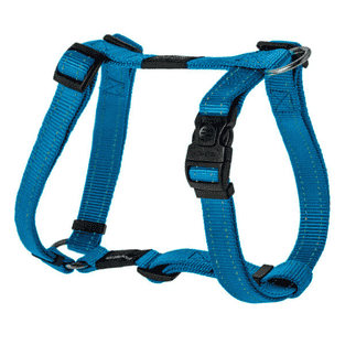 Harnais pour chien Utility turquoise
