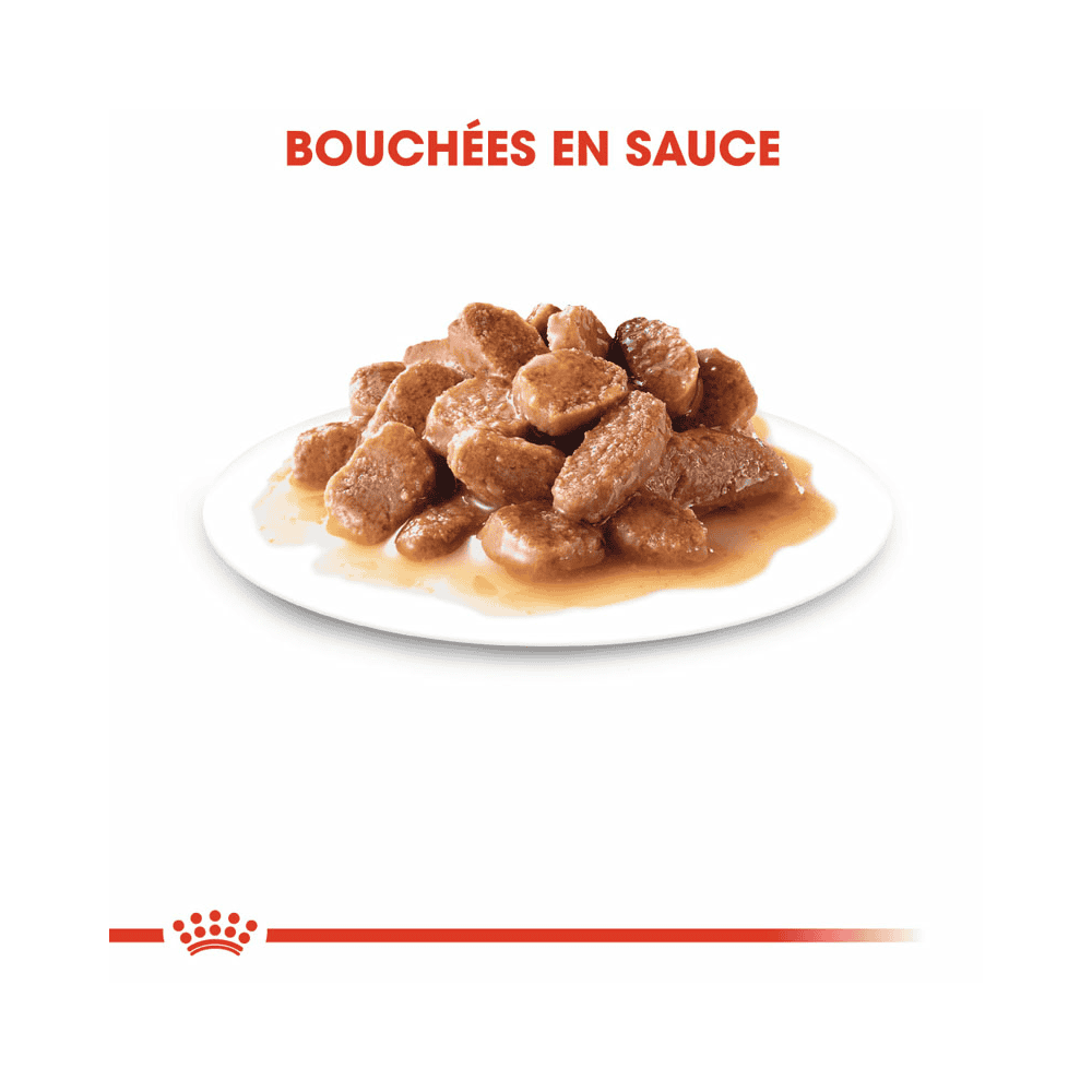 Instinctive 7+ en sauce - sachet