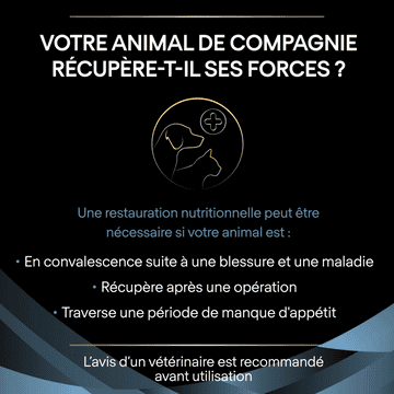CAT/DOG CN Convalescence Mousse