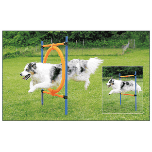 Agility Sprungring 2 in 1