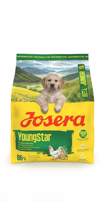Junior YoungStar