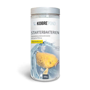 Starter bactéries