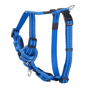Harnais pour chien Utility Control bleu
