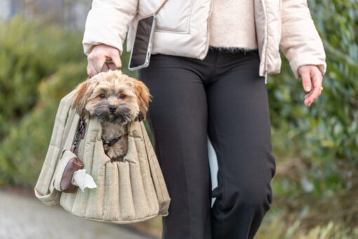 Sophie bag
